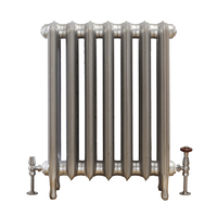 Gusseisenheizkörper (2 Säulen) 760mm x 588mm - Silber - Erté