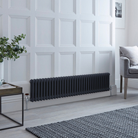 Hudson Reed Traditioneller Gliederheizkörper (2-Säulen) Horizontal 300mm x 1505mm - Anthrazit - Regent