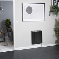 Keramikkern Elektro-Wandheizkörper 1500W,  570mm x 534mm,  in Graphit - Kera Hudson Reed