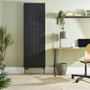 Kompakte Vertikale Designheizung (Typ 22),  1800mm Breite wählbar ab 4000mm in Schwarz - Alora Hudson Reed