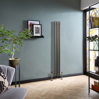 Metallisches Silber Gliederheizkörper (2-säulig),  vertikal 1500mm x 200mm - Regent Hudson Reed