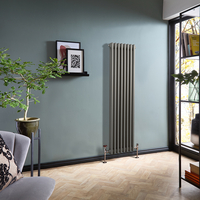 Retro Gliederheizkörper (2-säulig),  vertikal 1500mm x 380mm Metallisches Silber - Regent- Hudson Reed