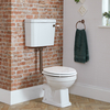 Stand-Toilette erhöht mit erhöhtem Spülkasten - Sitz in Weiß,  Spülkastenzubehör in geölter Bronze - Richmond Hudson Reed