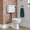 Stand WC erhöht mit erhöhtem Spülkasten,  Sitz in Weiß,  Farbe des Griffes Wählbar - Richmond Hudson Reed