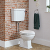 Toilette Gäste-WC erhöht mit erhöhtem Spülkasten,  Toilettensitz in Weiß & Spülkastenzubehör in Chrom/Schwarz - Richmond Hudson Reed