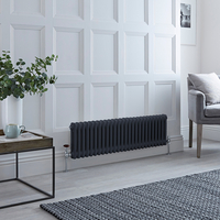 Traditioneller Gliederheizkörper (2-Säulen) Horizontal 300mm x 1190mm - Anthrazit- Regent von Hudson Reed