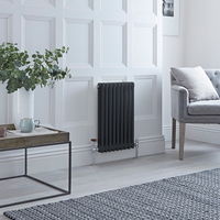 Traditioneller Gliederheizkörper (2-Säulen) Horizontal 600mm x 425mm - Anthrazit - Regent von Hudson Reed