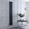 Traditioneller Gliederheizkörper (2-Säulen) Vertikal 1800mm x 290mm - Anthrazit - Regent von Hudson Reed