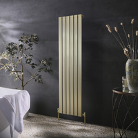 Vertikaler Design Heizkörper 160cm x 45cm in Gold-Finish,  einlagig - Delta Hudson Reed