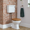 WC mit erhöhtem Spülkasten und Holzsitz - Scharniere,  Spülrohr und Spülhebel in geölter Bronze – Richmond Hudson Reed