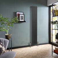 Zinn Gliederheizkörper (2-säulig),  vertikal 1800mm x 290mm Hudson Reed - Regent