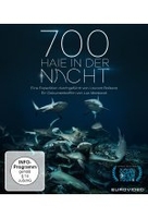 700 Haie in der Nacht