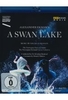 A Swan Lake