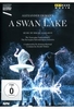 A Swan Lake