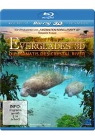 Abenteuer Everglades 3D - Die Manatis des Crystal River