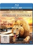 Abenteuer Südafrika 3D - Big Five