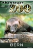 Abenteuer Zoo - Bern