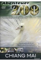 Abenteuer Zoo - Chiang Mai