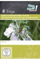 Acker-Schwarzkümmel und die Geschlechtsumwandlung seiner Blüten