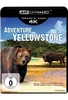 Adventure Yellowstone (4K Ultra HD)