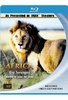 Africa - The Serengeti IMAX