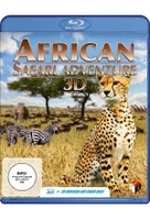 African Safari Adventure