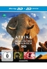 Afrika - Das magische Königreich (+ Blu-ray)