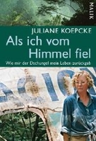 Als ich vom Himmel fiel