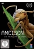 Ameisen - Die heimliche Weltmacht