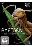 Ameisen - Die heimliche Weltmacht