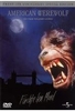 American Werewolf