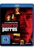 Amores Perros