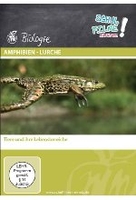 Amphibien - Lurche