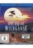 Amy und die Wildgänse