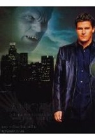 Angel - Season 3/Box Set 2 (Ep.12-22) [3 DVDs]
