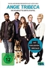 Angie Tribeca - Die komplette 1. Staffel [2 DVDs]