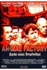 Animal Factory