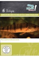 Anpassung der Fische an das Leben im Wasser