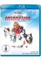 Antarctica - Gefangen im Eis