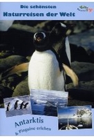 Antarktis & Pinguine erleben