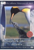 Antarktis & Pinguine erleben