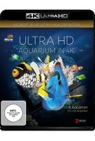 Aquarium (4K Ultra HD)