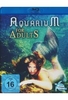 Aquarium for Adults