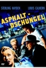 Asphalt Dschungel