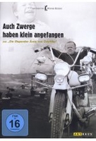 Auch Zwerge haben klein angefangen