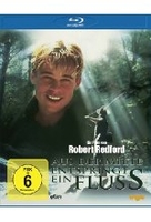 Aus der Mitte entspringt ein Fluß