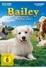 Bailey - Ein Welpe zum Verlieben