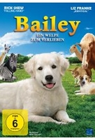 Bailey - Ein Welpe zum Verlieben