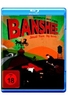 Banshee - Staffel 1 [4 BRs]