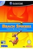 Beach Spikers